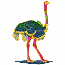 Ostrich Embroidery Design 8